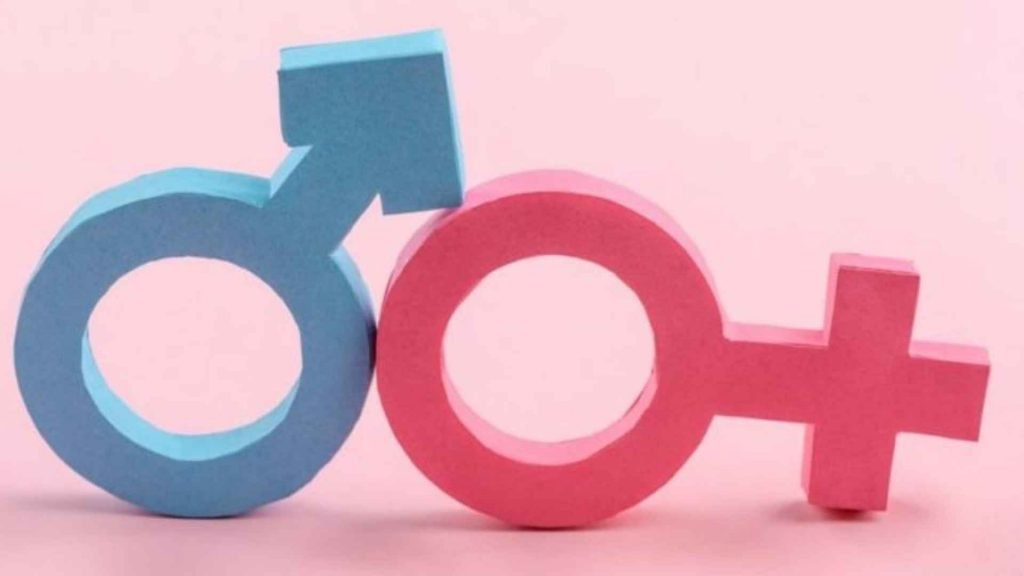 Ministerio del Trabajo presente en el 5º Diálogo de Género entre Ministerios de Trabajo: «Hacia una inspección laboral con enfoque de género»